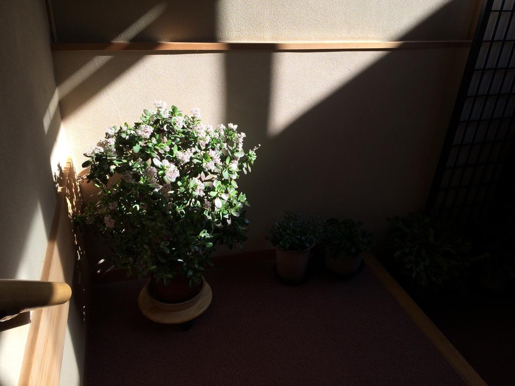 Yudanaka Onsen Yamazakiya Hotel Yamanouchi  Eksteriør billede