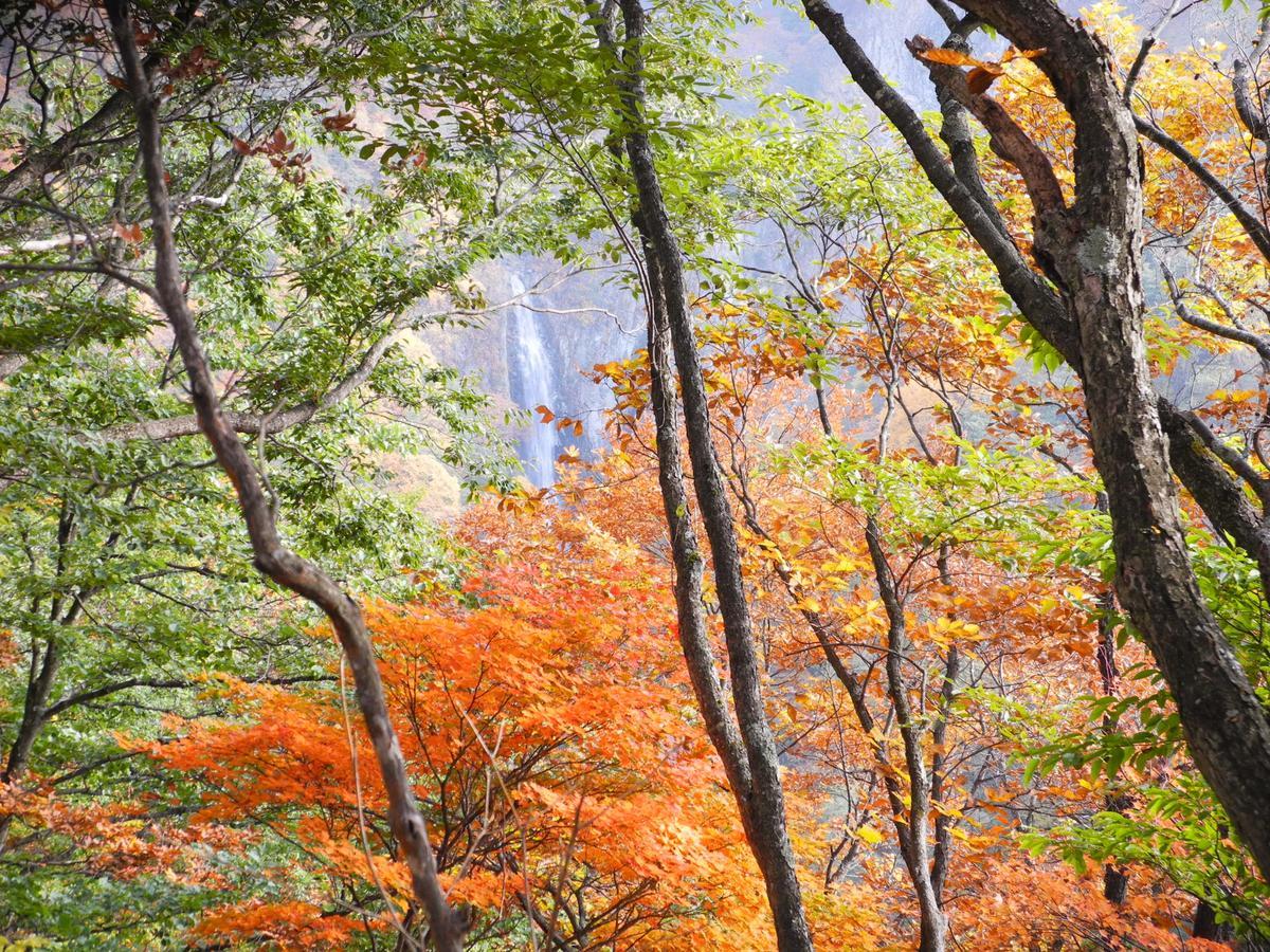 Yudanaka Onsen Yamazakiya Hotel Yamanouchi  Eksteriør billede